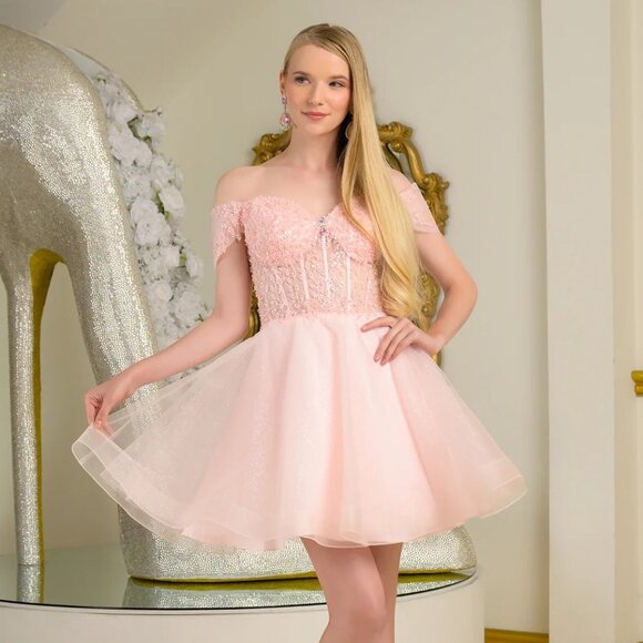 New Off Shoulder Short Fashion Forward Mesh Dress w/ Sheer Boned Bodice GS3684 - Picture 1 of 9